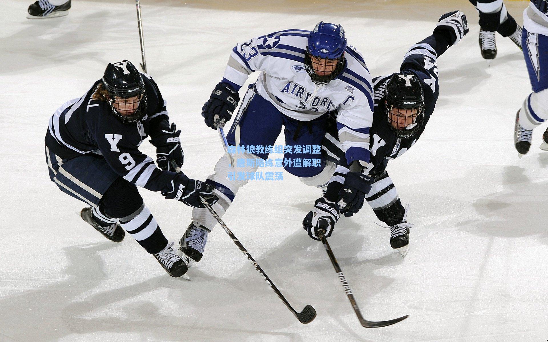 森林狼教练组突发调整，唐斯陪练意外遭解职引发球队震荡